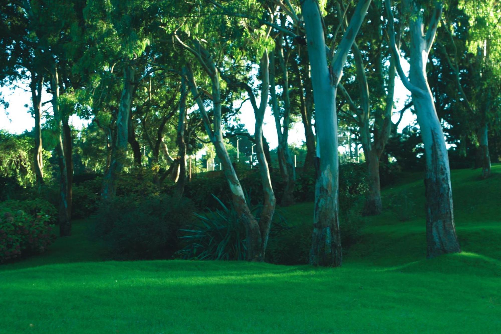 Hotel Del Bosque Pinamar Exterior photo